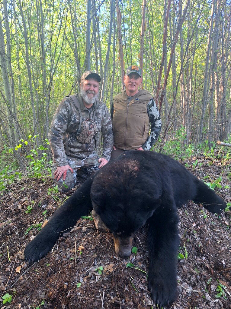 Two hunters kneeling behind a harvested black bear in the woods